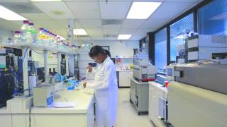 Documentary  Kinetex CoreShell Technology HPLC Column for Reversed Phase Chromatography [upl. by Manton]