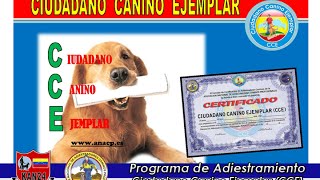 Programa de Adiestramiento quotCiudadano Canino Ejemplarquot [upl. by Floyd]