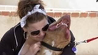 Pit Bull and Owner Reunited  Pit Bulls amp Parolees [upl. by Holland]