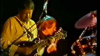 Fairport Convention  Angel Delight live 1982 [upl. by Atinuahs]