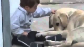 Kind met Down Syndrome speelt met hond [upl. by Leuqim]