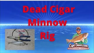 TROLLING CIGAR MINNOWS my rig [upl. by Ealasaid276]