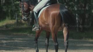 Legs and head of horse as it gallops in slow motion Hooves horse [upl. by Horatia]