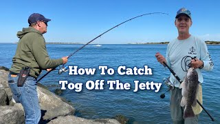 How TO Catch TOG off the JETTY tautog jettyfishing blackfish [upl. by Alleunamme]