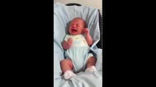 Bimbo neonato che piange Crying baby [upl. by Nnyltak254]