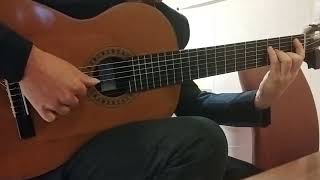 Ensayo quotRemolcador Guaraníquot  Pablo Martorelli · Guitarra · [upl. by Nnylarej58]