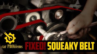 6 Serpentine Belt Noise Causes  How to fix noisy serpentine belt [upl. by Karylin]