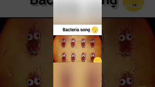 Bacteria Songsiddhantclasseskhalilabad1761 biology biologyexperiment nature [upl. by Akerdna]