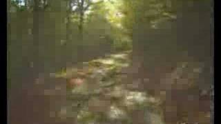 Tacx Real Life Training DVD Ardennes MTB Ride [upl. by Idet]