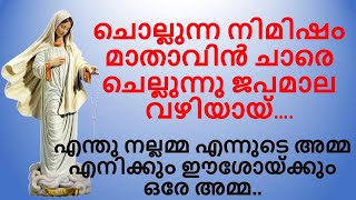 ചൊല്ലുന്ന നിമിഷം മാതാവിൻ ചാരെ  Chollunna nimisham mathavin chare  Mary Matha  Mother Mary Song [upl. by Naihr]