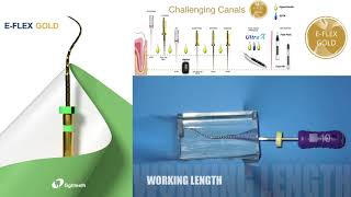 Instruction of How to Use Eighteeth EFLEX GOLD Heat Treated Endo Files Usage Protocol [upl. by Yssenhguahs90]