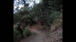 Castleridge Trail Pleasanton CA [upl. by Wildermuth]