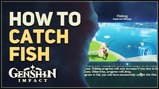 How to Catch Fish Genshin Impact [upl. by Hteazile468]