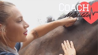 Coach Mathilde  conseils pour une crinière de BG  🌟🐴 [upl. by Colton976]