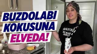 BU BİLGİ BAŞKA YERDE YOK Buzdolabı Temizliğinde Kesin Çözümü Anlattım  Temizlik Kraliçesi [upl. by Yrreg349]