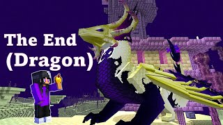 Dragons Biome THE END Dragon [upl. by Langbehn421]