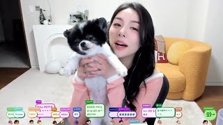 힐링 영상 Ailee Twitch  솜쿠카 모음집 3탄 [upl. by Yelsehc]