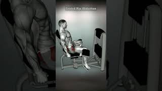 Hips Workout Essentials The Seated Hip Abduction [upl. by Namas]