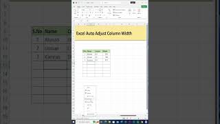 Auto Adjust Column width in MS Excel excel excelformula exceltips excelfunction exceltricks [upl. by Jestude570]