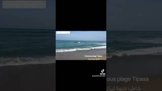 Chenoua plage Tipasa شاطئ شنوة تيبازة [upl. by Supat]