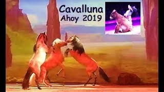 Uitgebreide samenvatting CAVALLUNA  Paardenshow in Ahoy Rotterdam [upl. by Neysa]