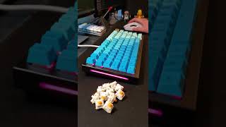 GMMK Pro Glorious Pandas  Aluminum Plate  Cherry Profile Typing Sound Test [upl. by Nuj630]