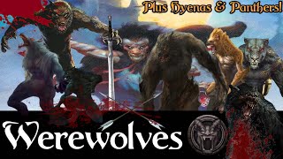 All Werewolves in Conan Lore Study and Theory Crafting [upl. by Annahaj466]