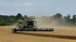 WRACAMY DO ĹťNIW  1X Claas Lexion amp 3X JohnDeere na jednym polu  Jak sypie pszenica jara [upl. by Rollins]