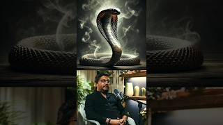 Nagas are Very Powerful Beings with Occult Abilities  Explained by Rajarshi Nandy naga snake [upl. by Burgwell]