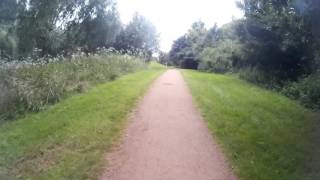 snake  an adder  crossing the path [upl. by Gearalt879]