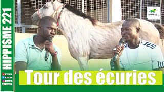 TOUR DES ECURIES  ECURIE NDIAP CHEZ BADOU NDIAYE [upl. by Naples514]