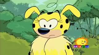 Marsupilami Malayalam Cartoon😁😁 Kochu tv 📺 cartoon malayalam animal cartoonforkids [upl. by Tarton]