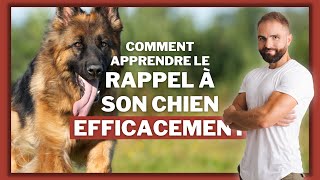 Comment apprendre le rappel a son chien efficacement [upl. by Ethelin153]