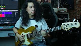 Ylona Garcia  Entertain Me Bass Cover [upl. by Devine]