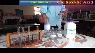 Cinnamic Acid 12th chemistry practical [upl. by Yahc694]