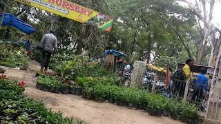 Plant Nursery near kutchery chowk Ranchi jharkhand [upl. by Severn]