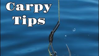 Carpy Tips from Mick Henley [upl. by Ashbey]