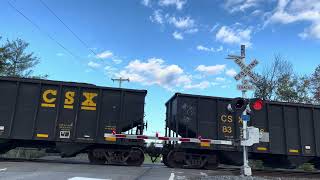 County Line Road Railroad Crossing Guilderland NY 1 [upl. by Stegman877]