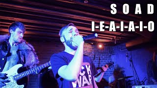 System Of A Down  IEAIAIO Live Cover [upl. by Eatnuhs]