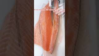 How to Fillet a Whole Salmon  How to Make Sashimi 7 salmonasmr salmonsashimi salmoncutting [upl. by Lemrahs443]