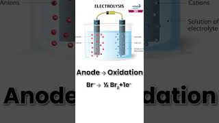 Electrolysis of Molten PbBr2  Chemistry  Shorts  Infinity Learn JEE [upl. by Buchheim79]