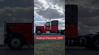 Bobtail Peterbilt 389 takin a stroll down the 7 [upl. by Mota]