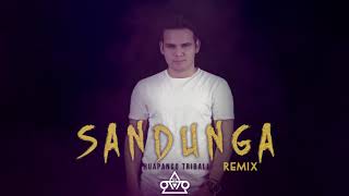 Sandunga  Dj Otto Huapango Tribal 2019 remix [upl. by Rolfe]