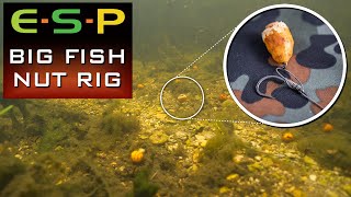 Simple Tiger Nut Rig  Carp Fishing Rigs [upl. by Ecirtac44]