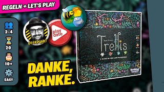 TRELLIS  Brettspiel  Regeln amp Lets Play [upl. by Neo]