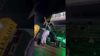 kestheband performing Fuh spite LIVE at Stinging Nettles 2024 [upl. by Isiahi]