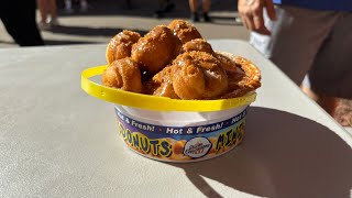 Minnesota State Fair Vlog [upl. by Zola]