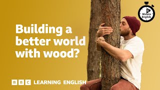 Building a better world with wood ⏲️ 6 Minute English [upl. by Kallman74]