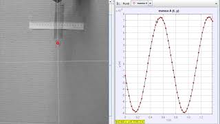 Moto Armonico di una molla con Tracker [upl. by Enelra]