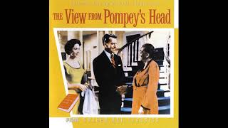 Elmer Bernstein  Dinahs Theme  The View from Pompeys Head 1955 [upl. by Jacinthe888]